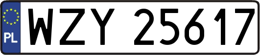 WZY25617