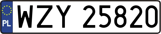 WZY25820