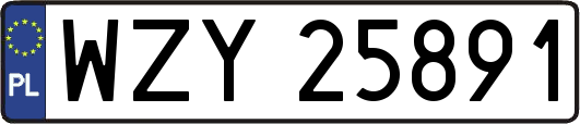 WZY25891