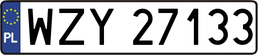 WZY27133