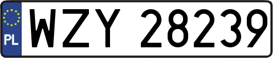 WZY28239