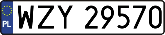 WZY29570
