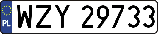 WZY29733
