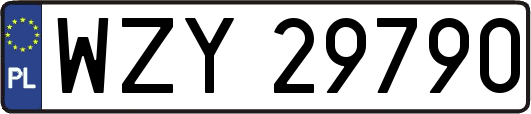 WZY29790