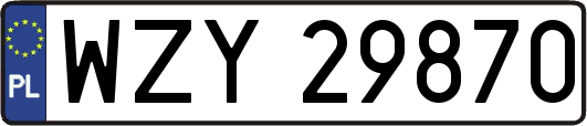 WZY29870