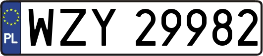 WZY29982