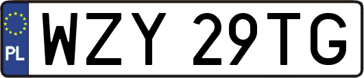 WZY29TG