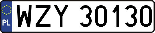 WZY30130