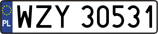 WZY30531