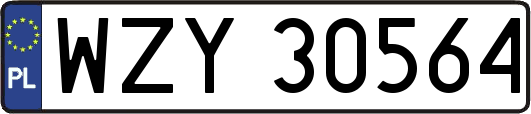 WZY30564