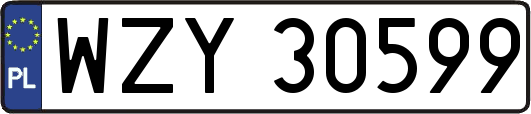 WZY30599