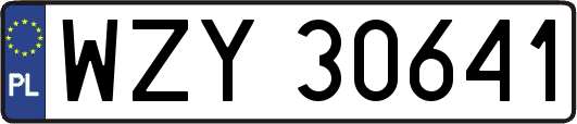 WZY30641
