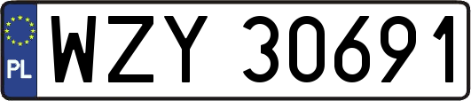 WZY30691