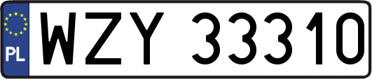 WZY33310