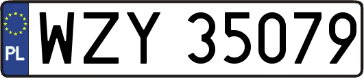 WZY35079