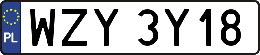 WZY3Y18