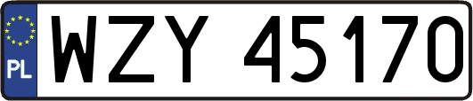 WZY45170