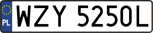 WZY5250L
