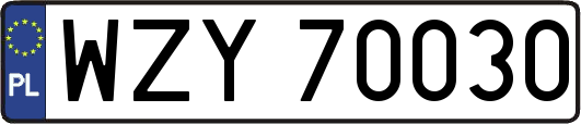 WZY70030