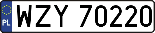 WZY70220