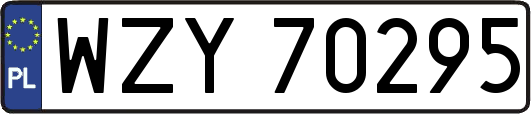 WZY70295