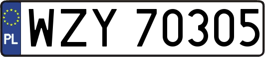 WZY70305