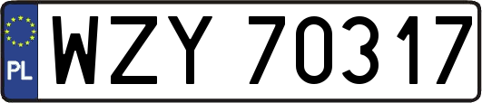 WZY70317