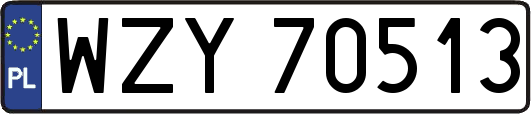 WZY70513