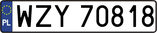 WZY70818
