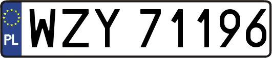 WZY71196