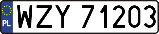 WZY71203