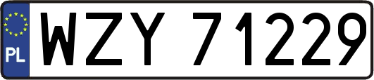 WZY71229