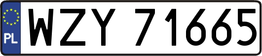 WZY71665