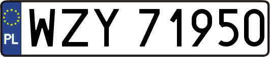 WZY71950