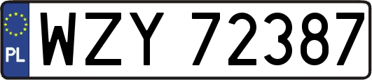 WZY72387