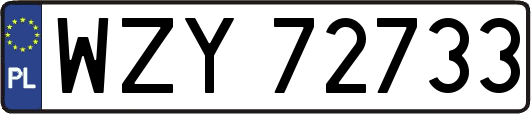 WZY72733