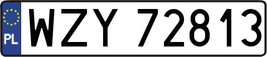 WZY72813