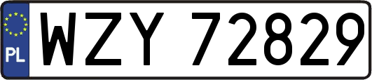WZY72829