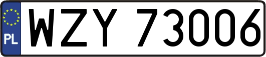 WZY73006