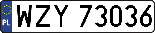 WZY73036