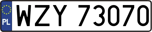 WZY73070