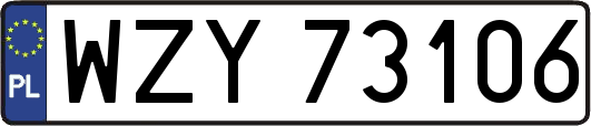 WZY73106
