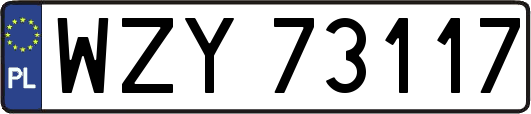WZY73117