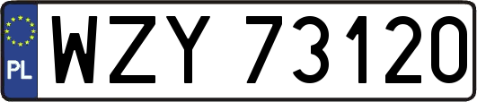 WZY73120