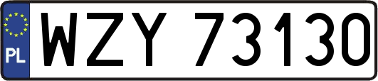 WZY73130