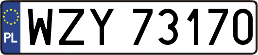 WZY73170