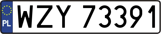 WZY73391