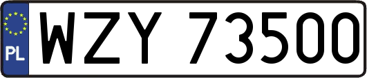 WZY73500