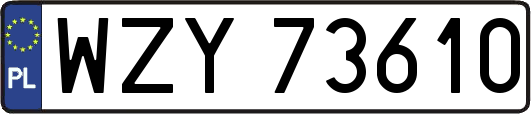 WZY73610