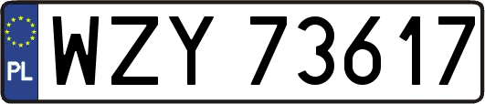WZY73617